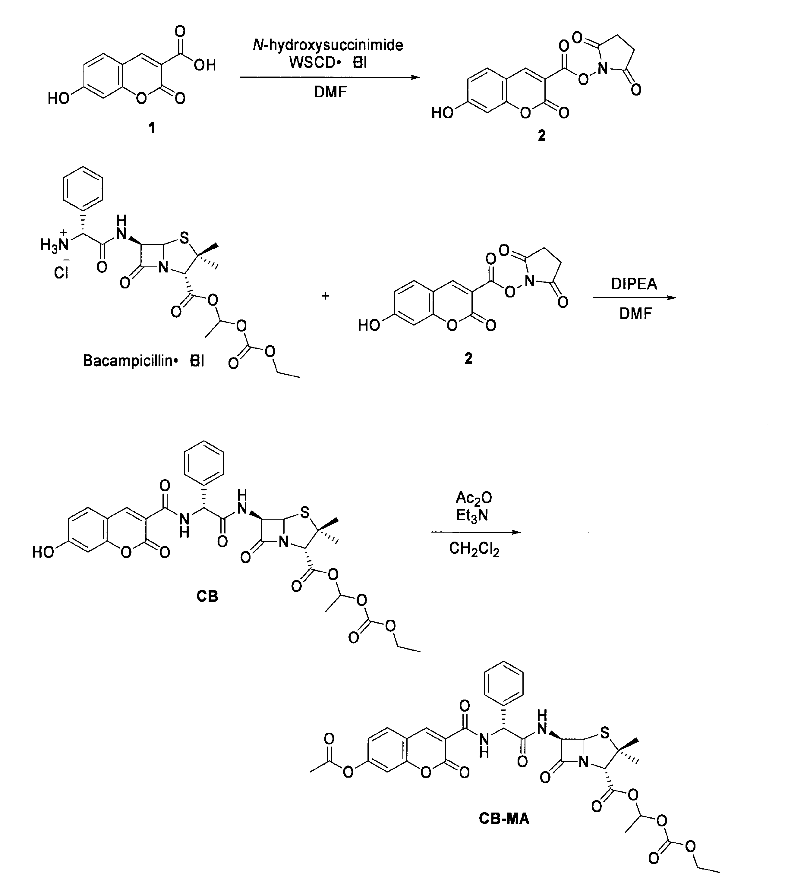 Figure JPOXMLDOC01-appb-C000023