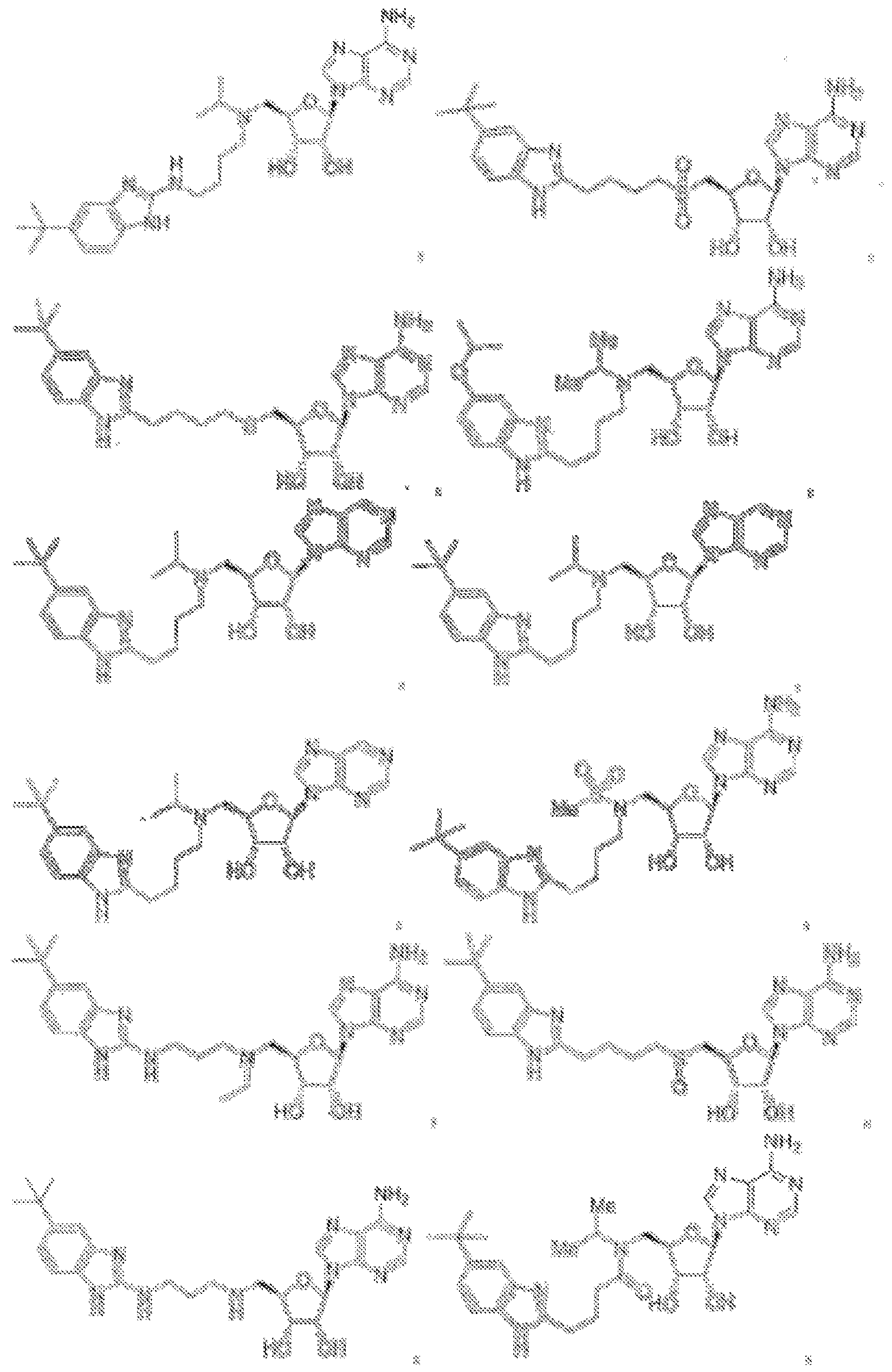 Figure imgf000053_0001