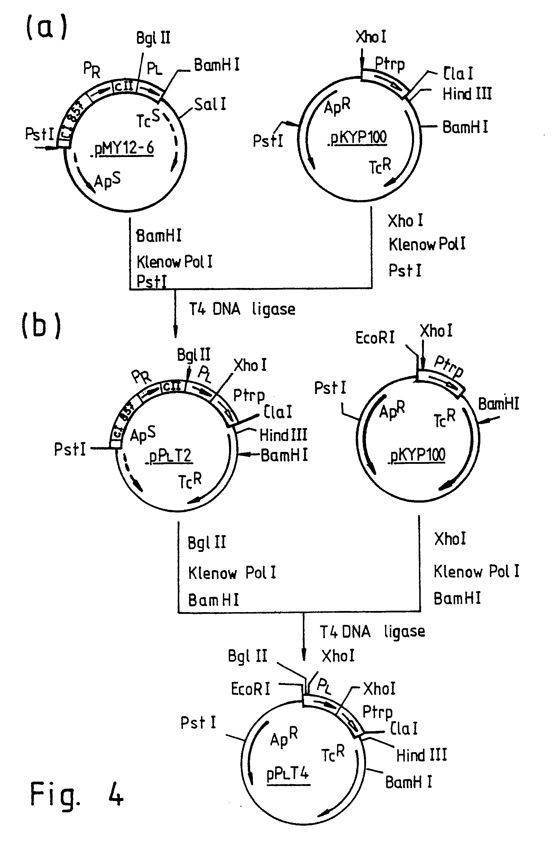google patents