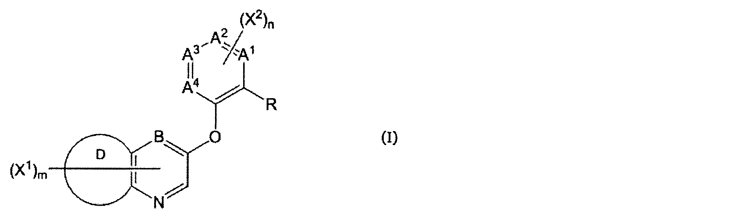 Figure JPOXMLDOC01-appb-C000013