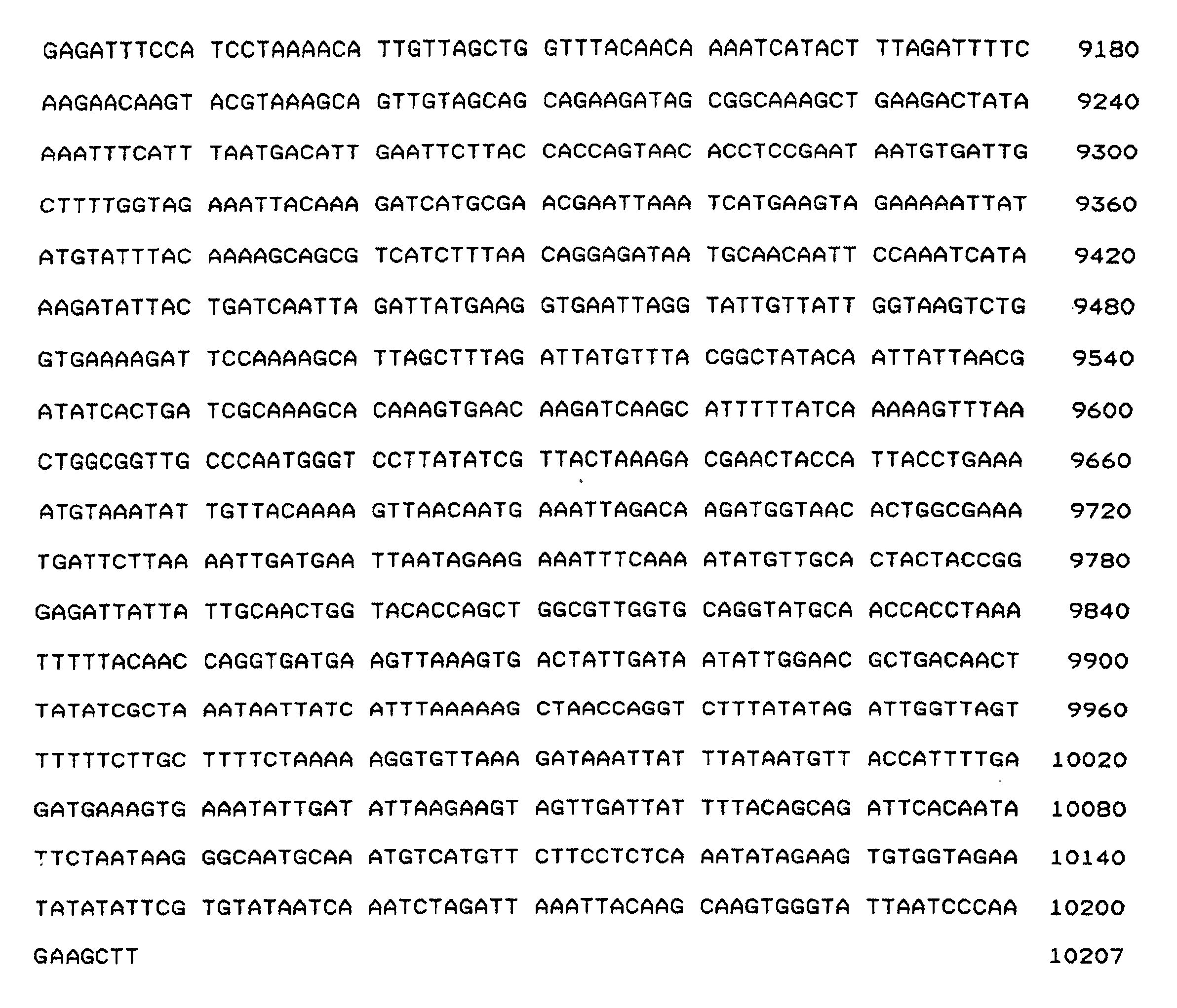 Figure 00290001