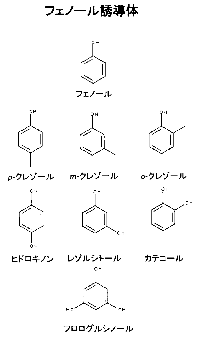 Figure JPOXMLDOC01-appb-C000002