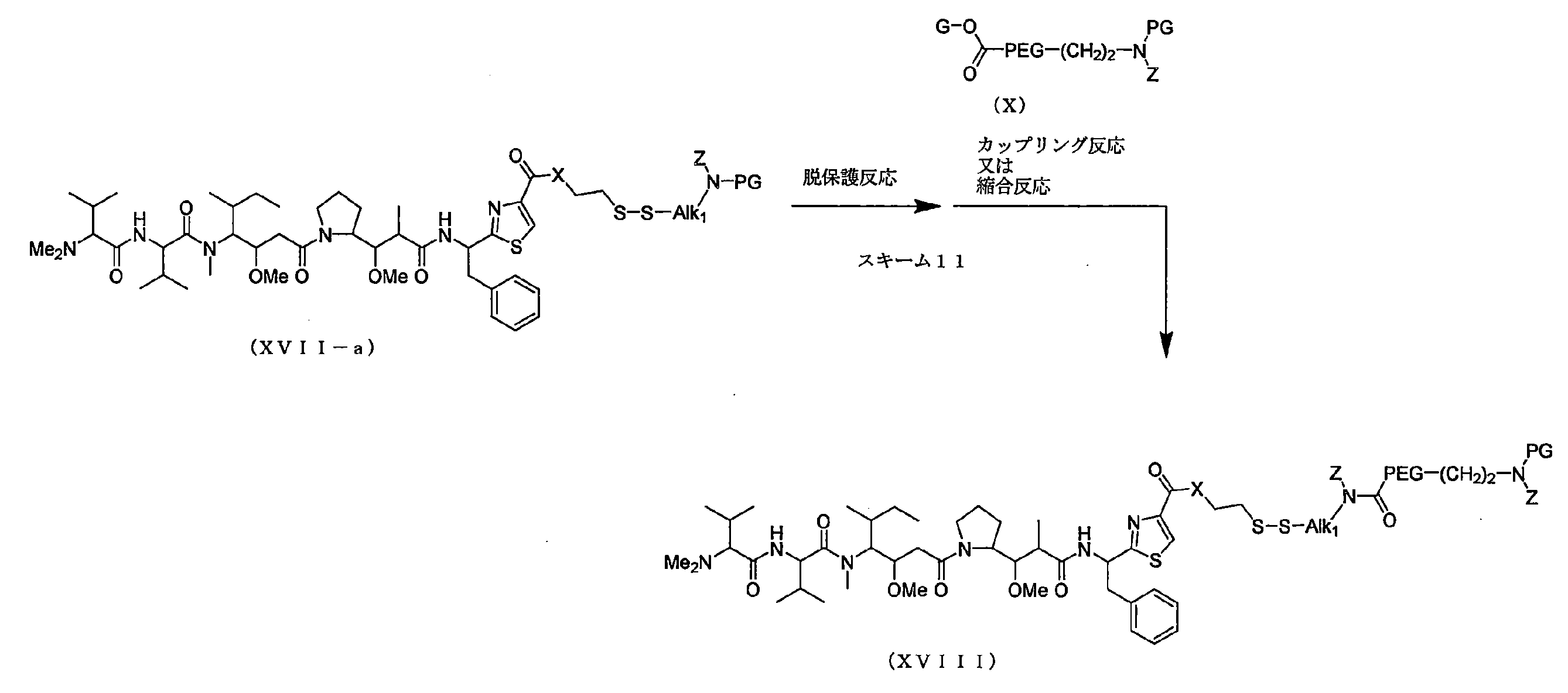 Figure JPOXMLDOC01-appb-C000018