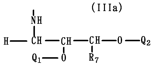 Figure JPOXMLDOC01-appb-C000029