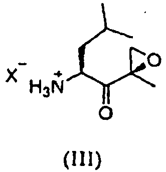 Figure imgb0002