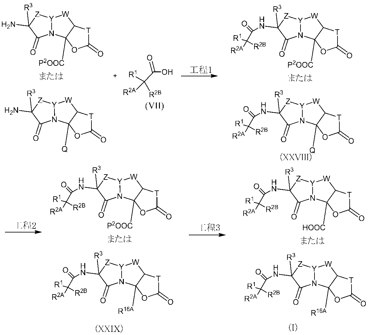 Figure JPOXMLDOC01-appb-C000159