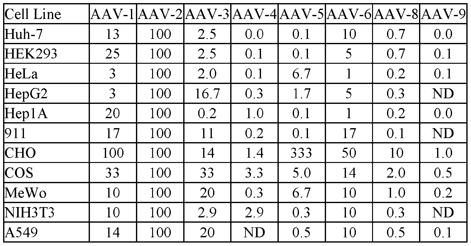 Figure imgf000064_0001