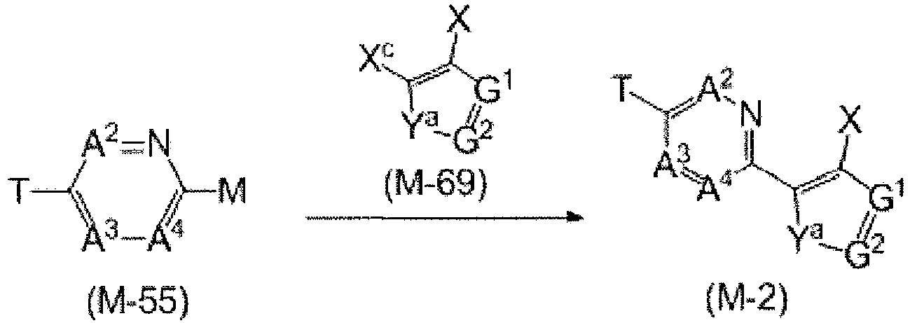 Figure imgb0055
