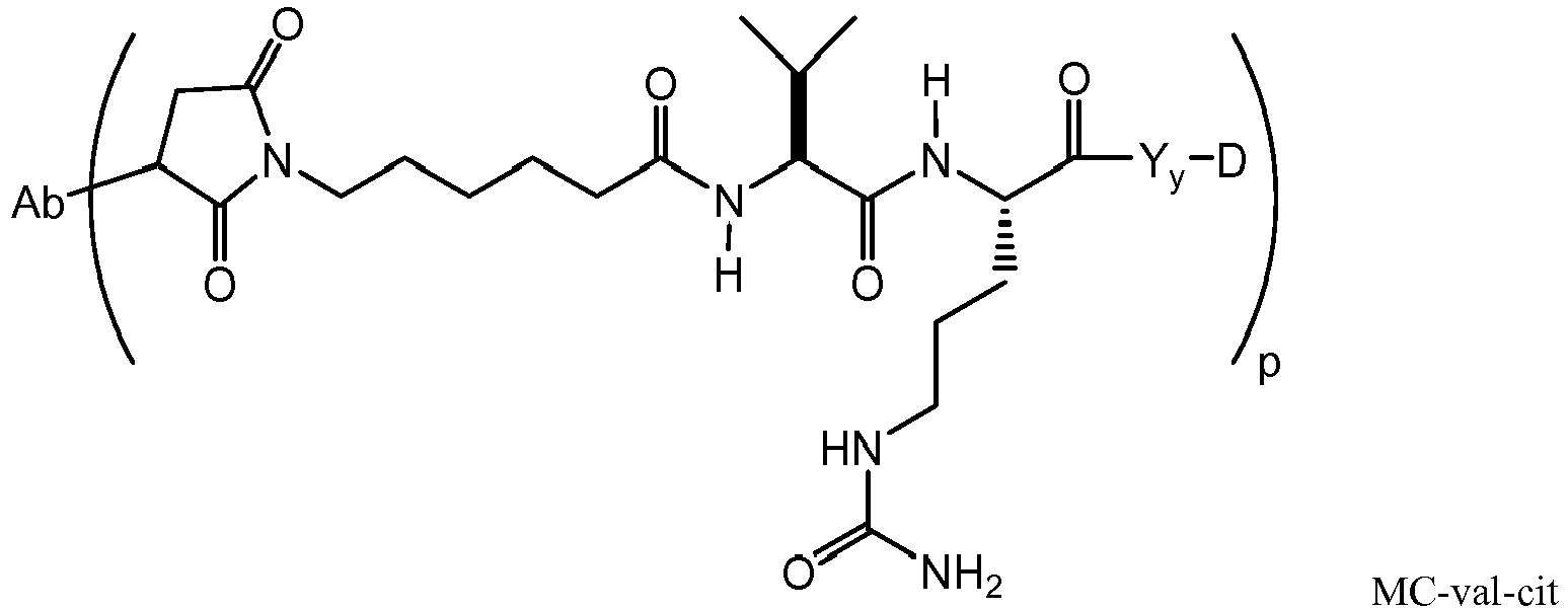 Figure imgb0025