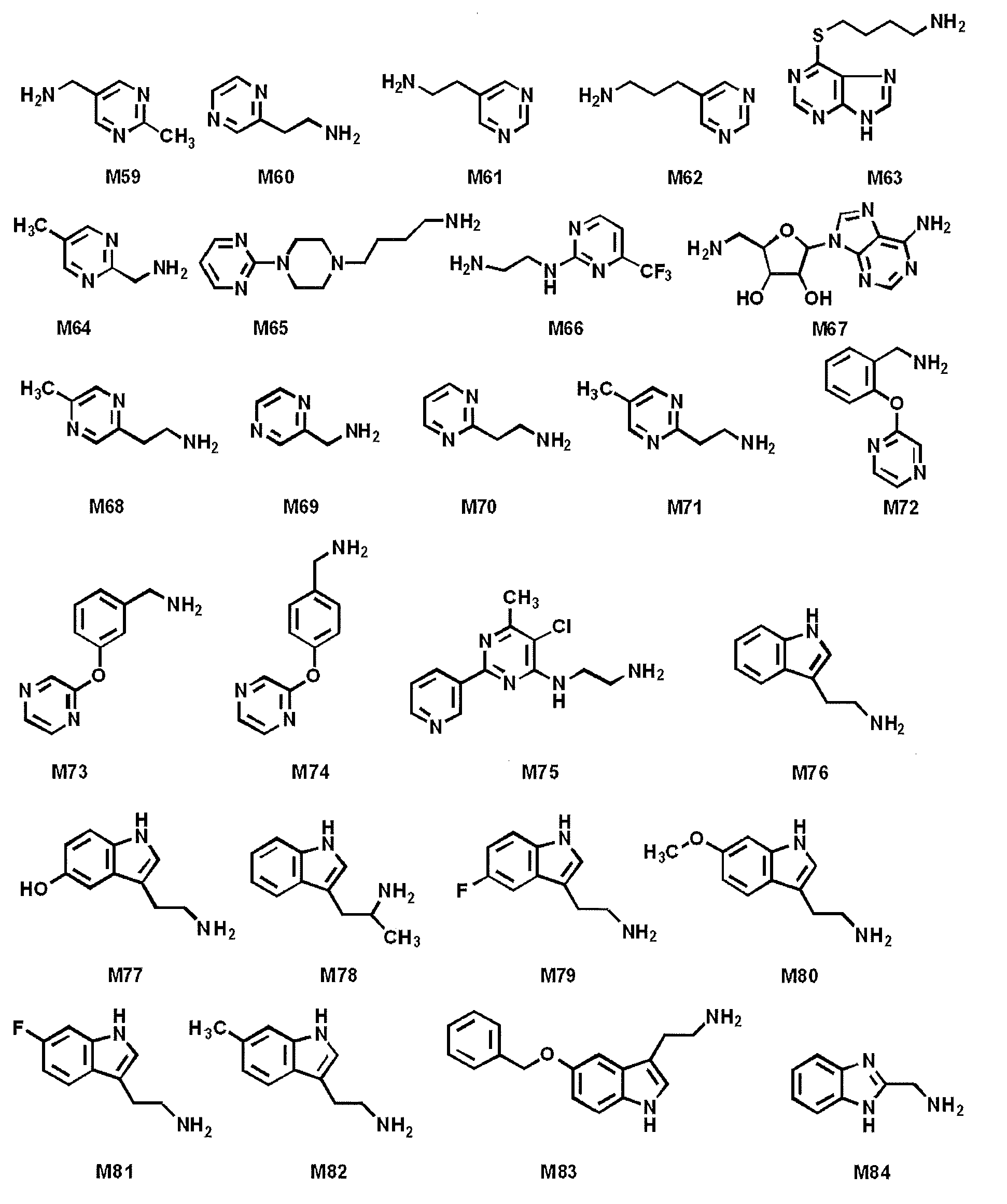 Figure JPOXMLDOC01-appb-C000061