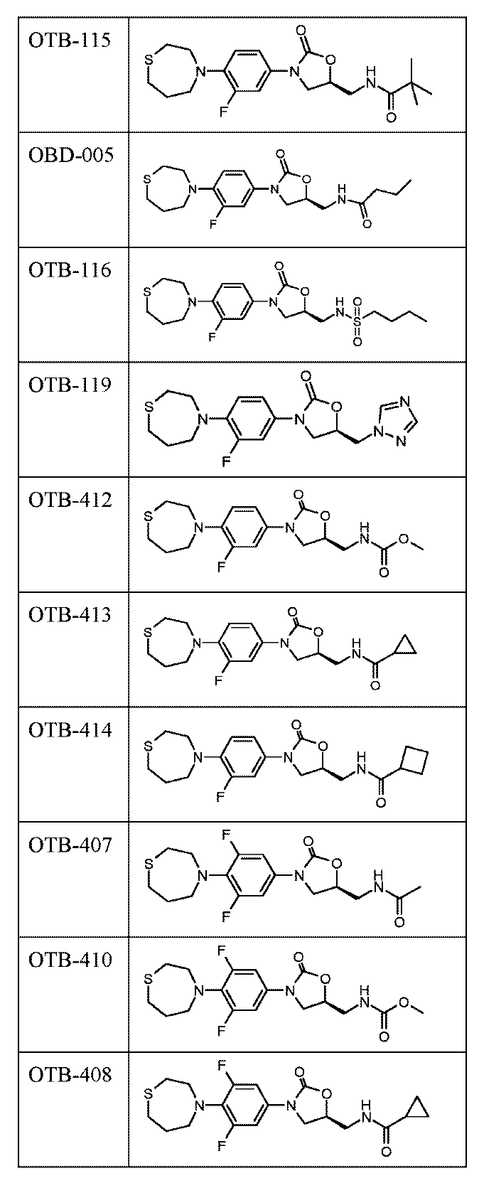 Figure 0007585405000307