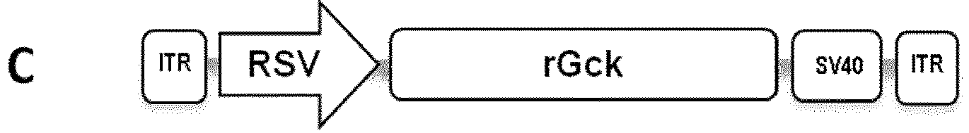 Figure imgb0010