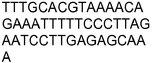 Figure imgb0897