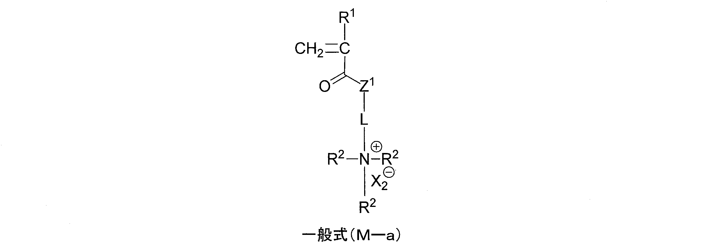 Figure JPOXMLDOC01-appb-C000027