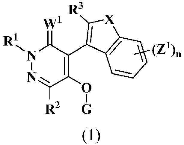 Figure imgb0033
