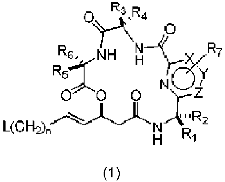 Figure imgb0121