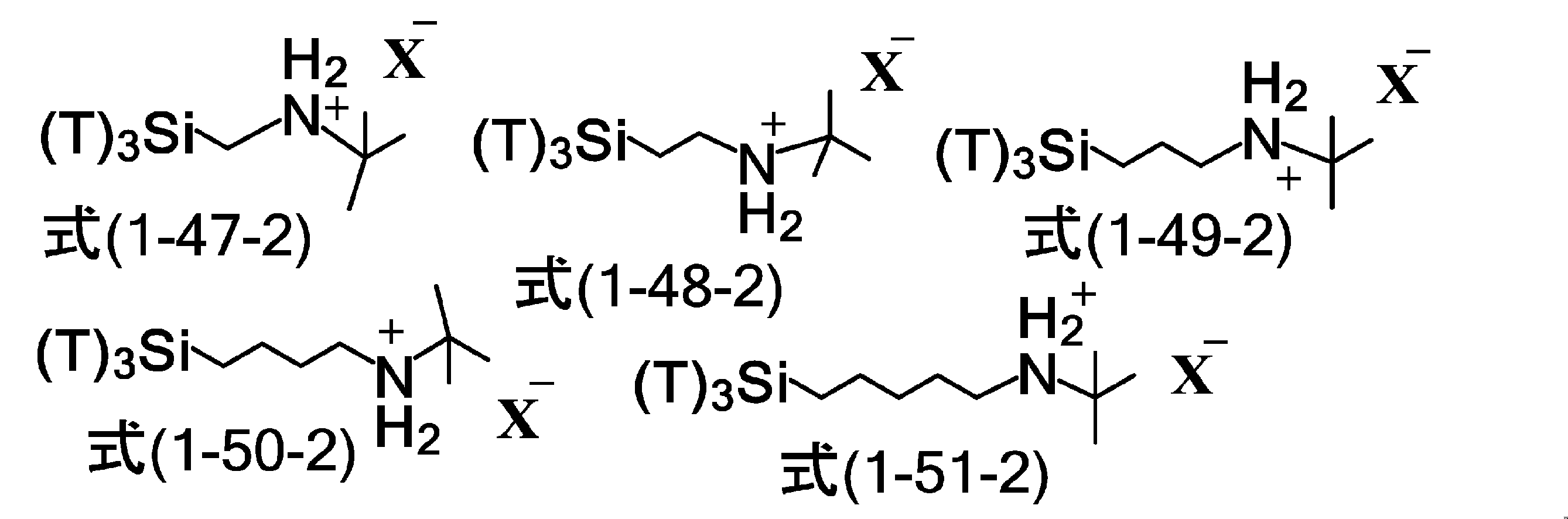 Figure JPOXMLDOC01-appb-C000053