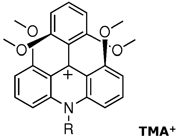 Figure imgb0002