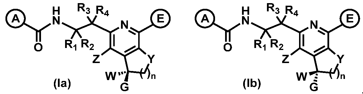 Figure imgf000012_0002