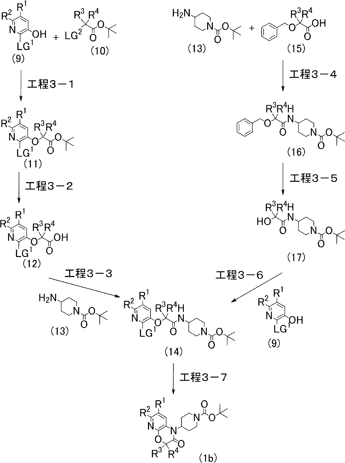 Figure JPOXMLDOC01-appb-C000009