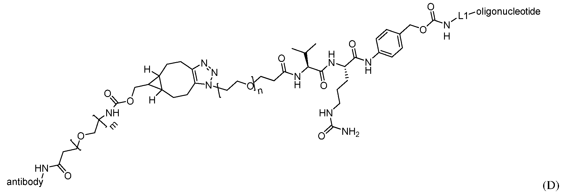 Figure imgf000255_0002