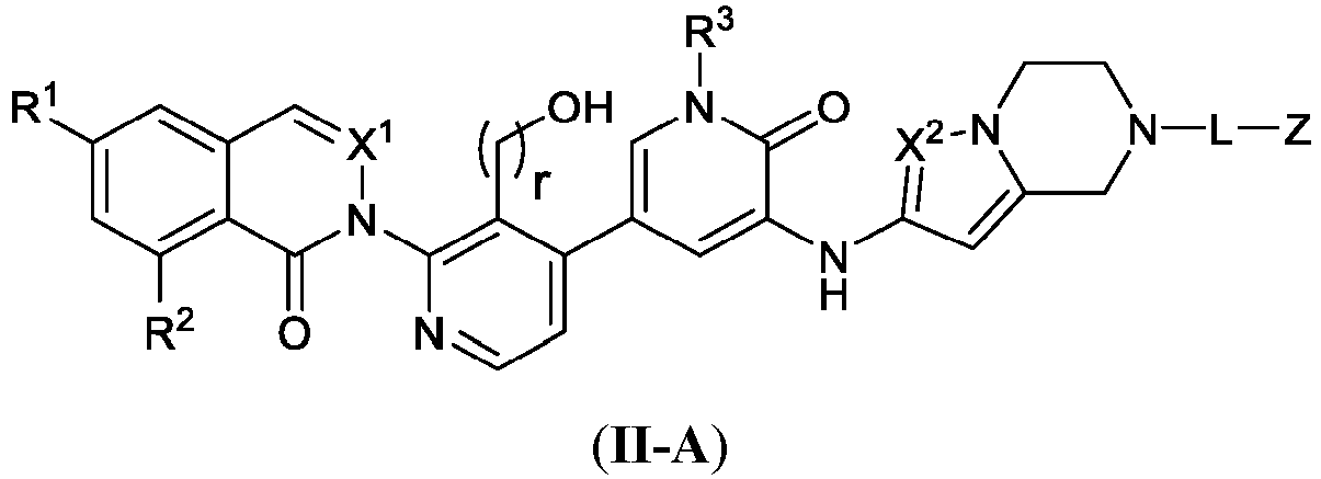 Figure imgb0204