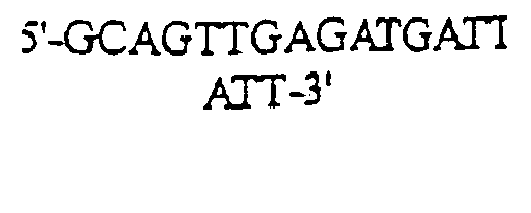 Figure imgb0075