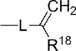 Figure JPOXMLDOC01-appb-C000013