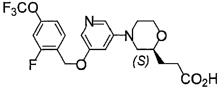 Figure imgb0146