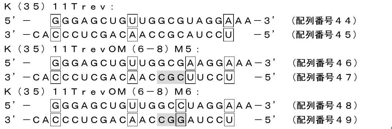 Figure JPOXMLDOC01-appb-I000009