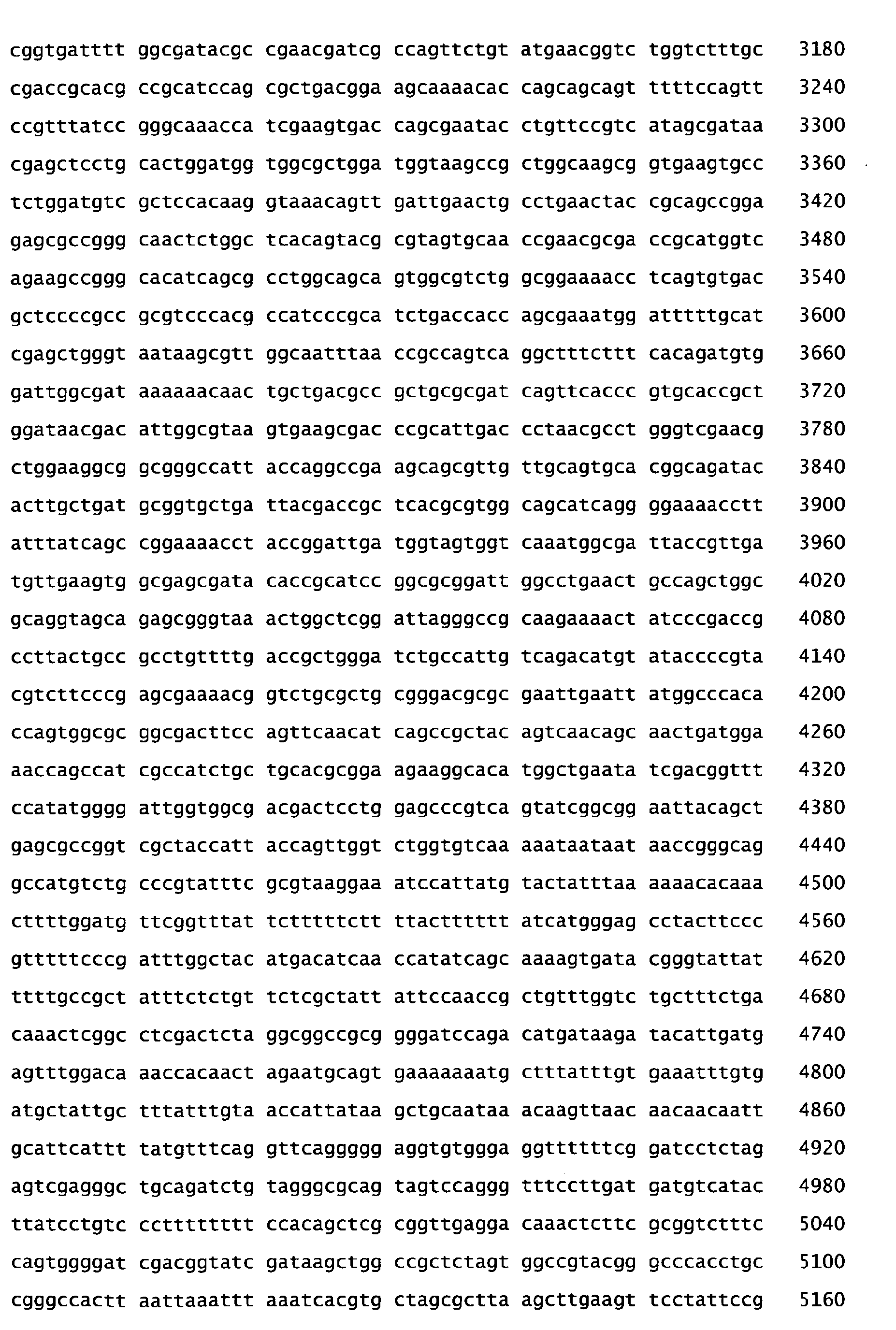 Figure imgb0019