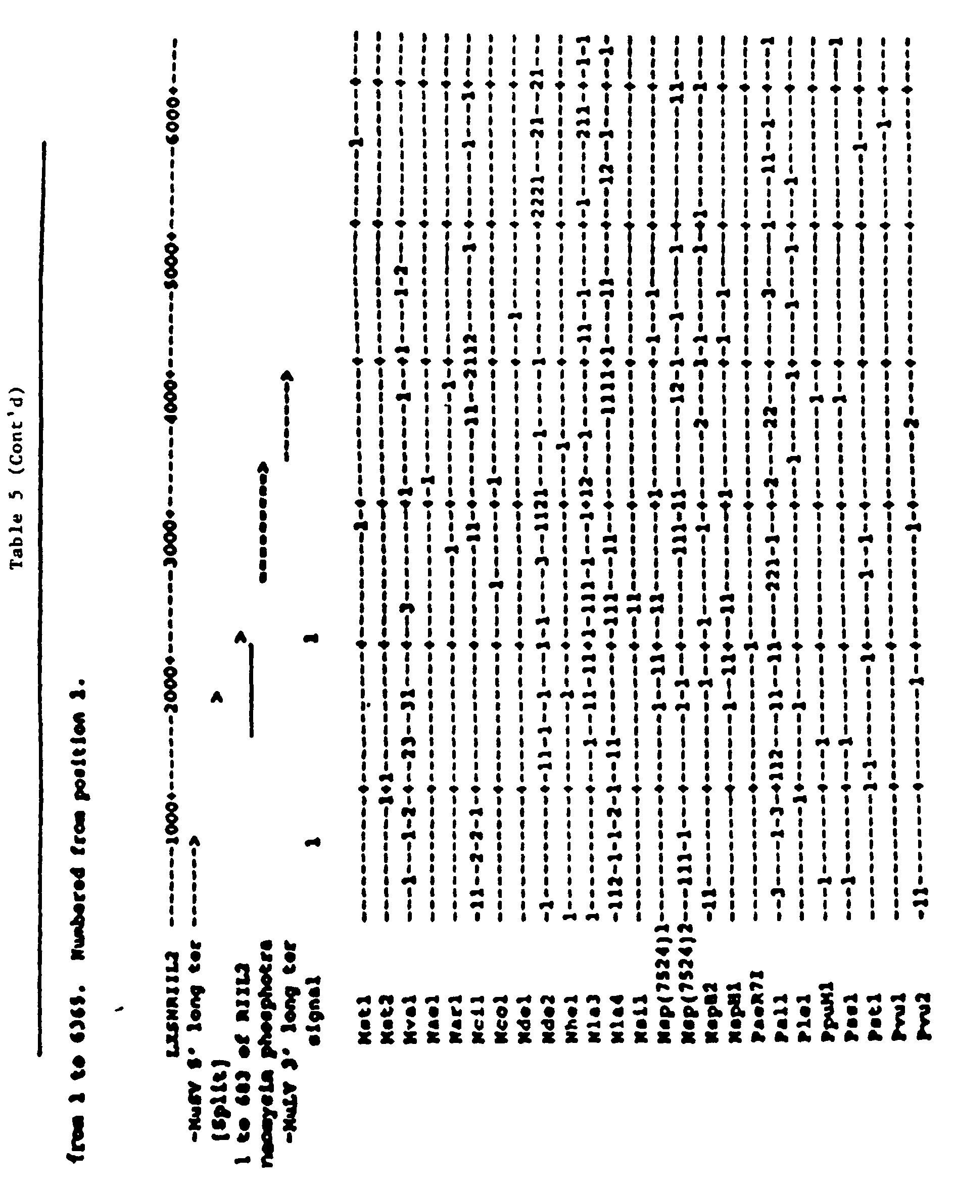 Figure 00450001
