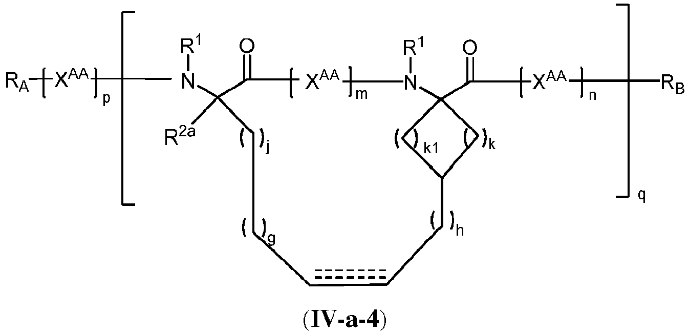 Figure imgb0134