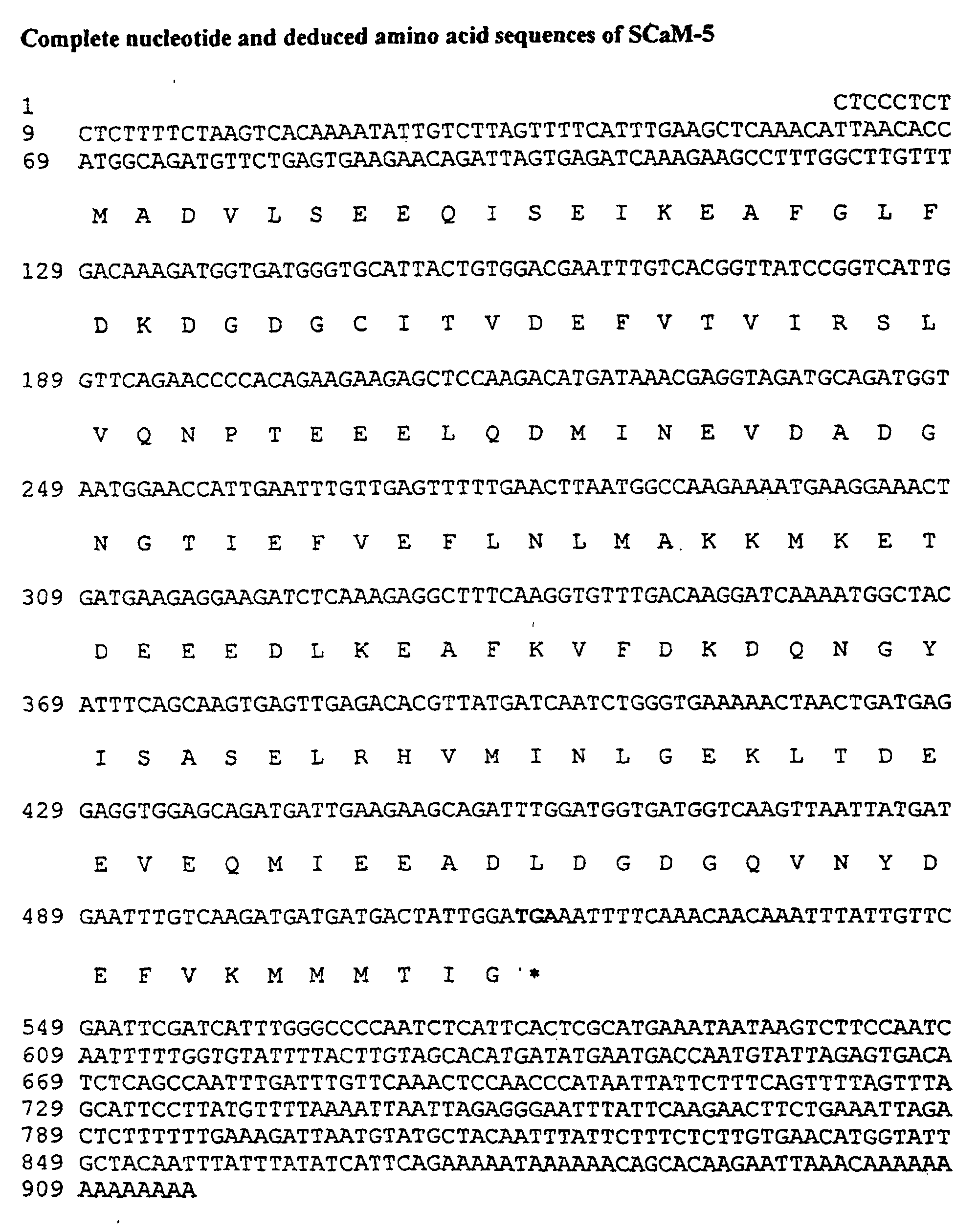 Figure 00370001