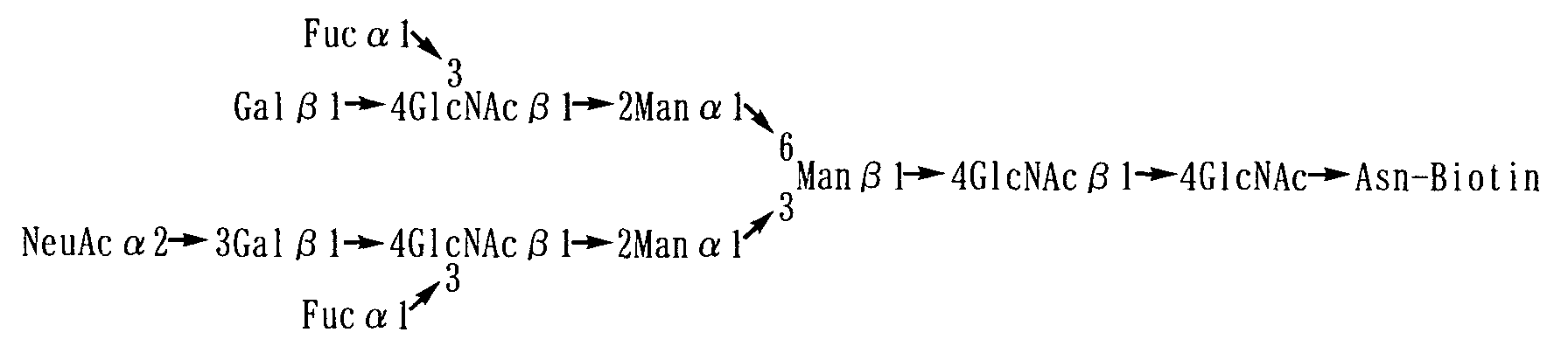 Figure 00860005
