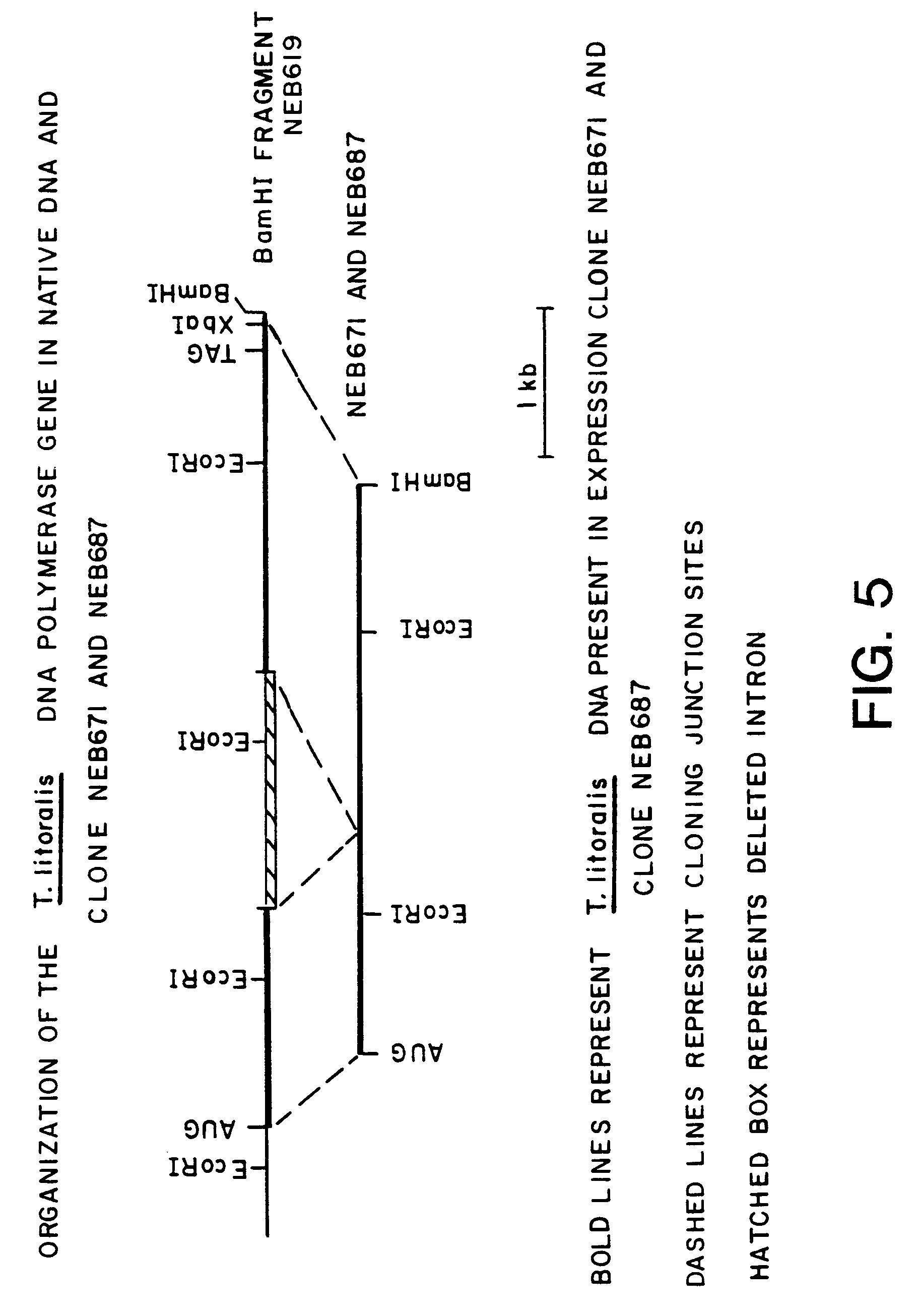 google patents