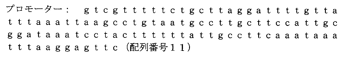 Figure JPOXMLDOC01-appb-C000004