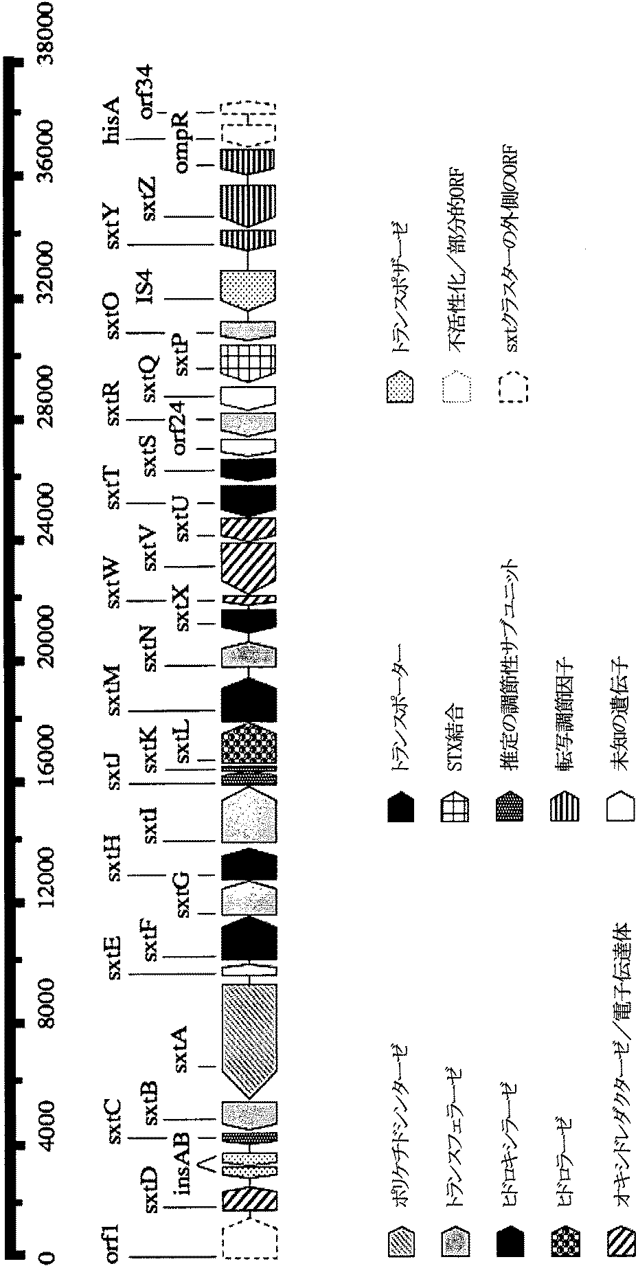Jpb2 藍藻類サキシトキシン遺伝子クラスタおよびシアノトキシンを有する生物の検出 Google Patents