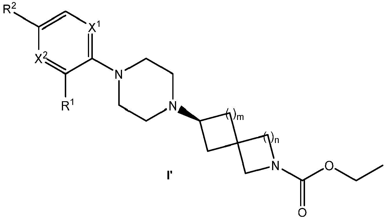 Figure imgb0011