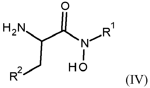 Figure imgb0024