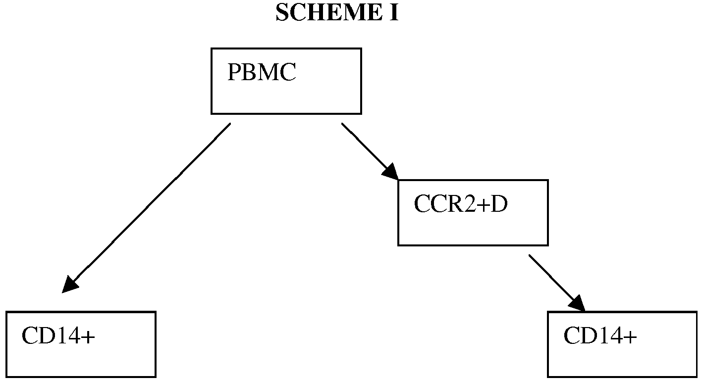 Figure imgb0001