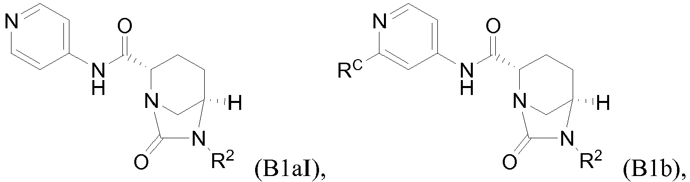 Figure imgb0010