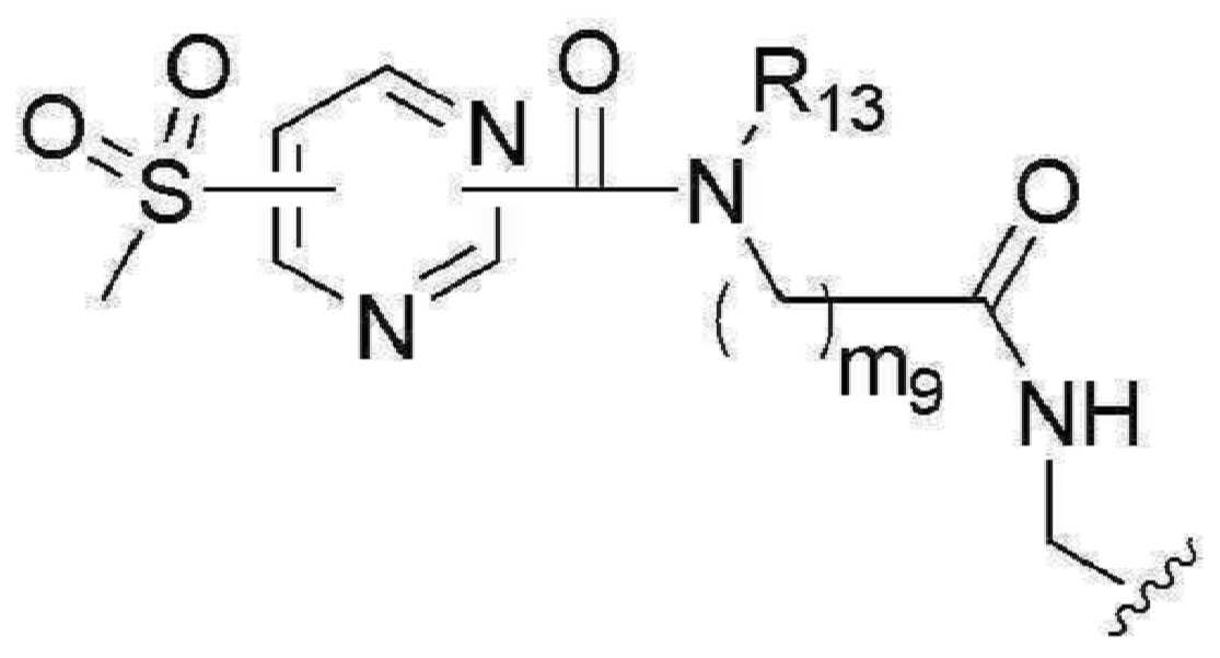 Figure pct00956