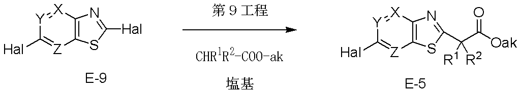 Figure JPOXMLDOC01-appb-C000010