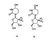 Figure img0033