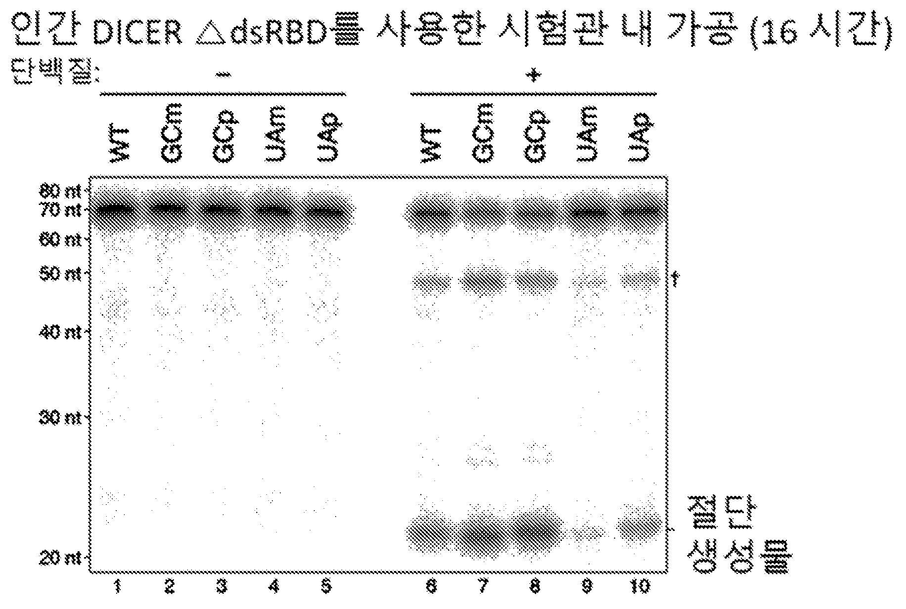 특허 도면 88