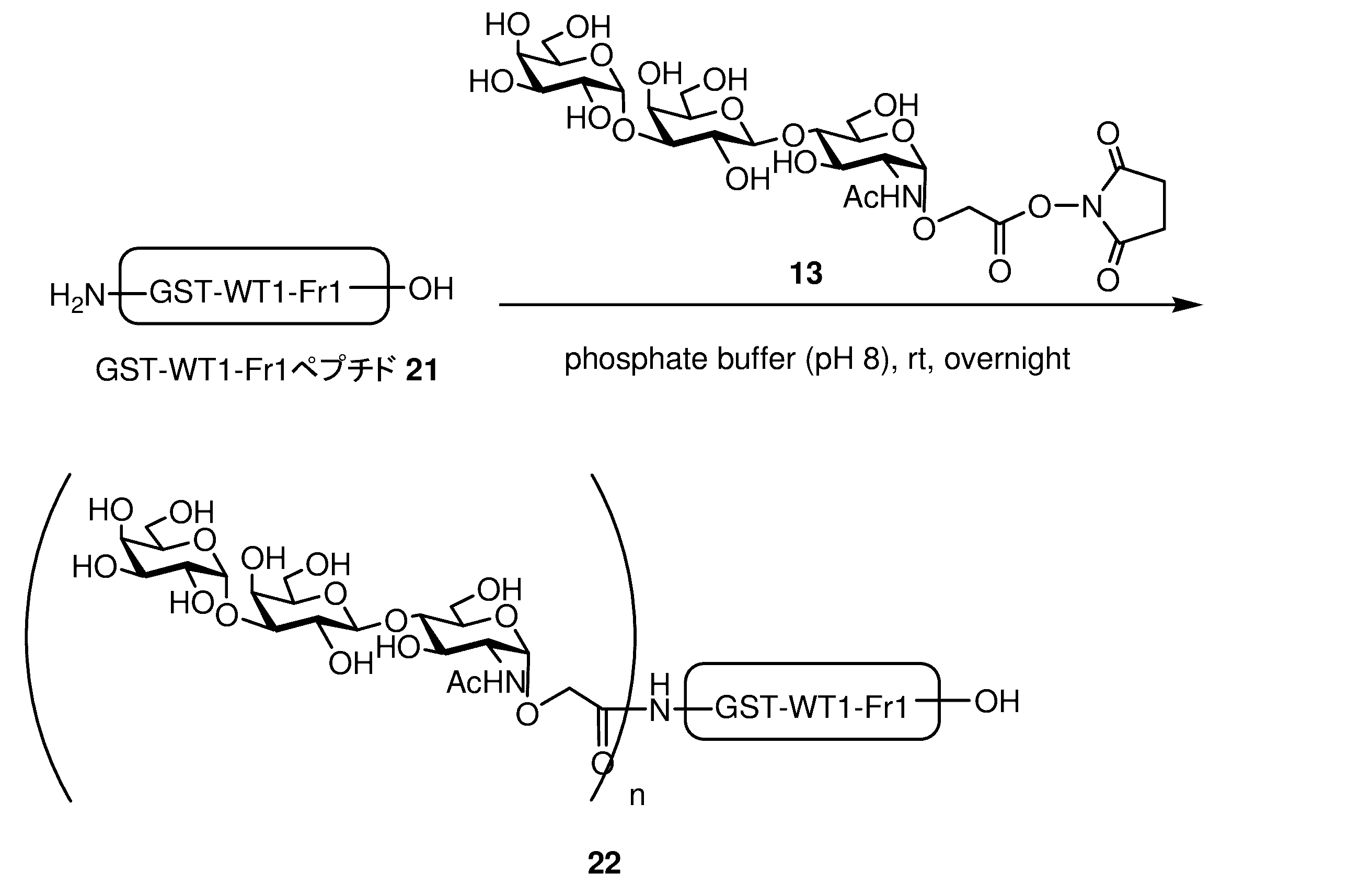 Figure JPOXMLDOC01-appb-C000031