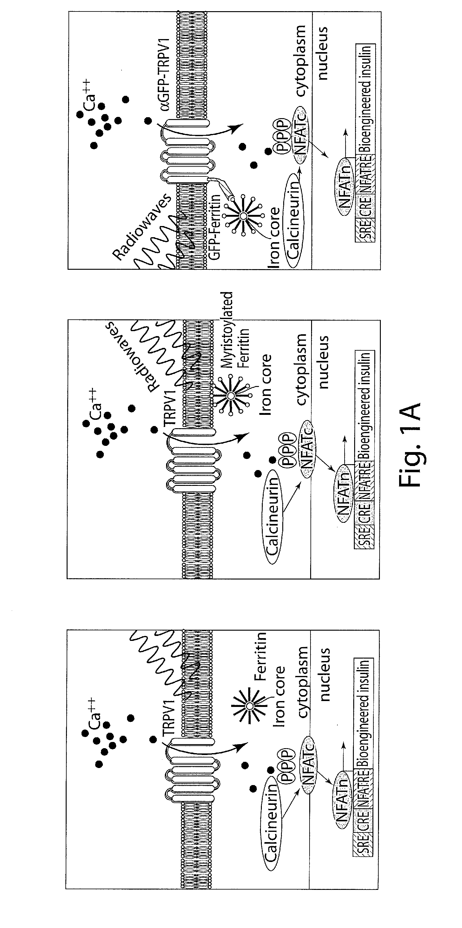 catt acoustic virus catt acoustic virus