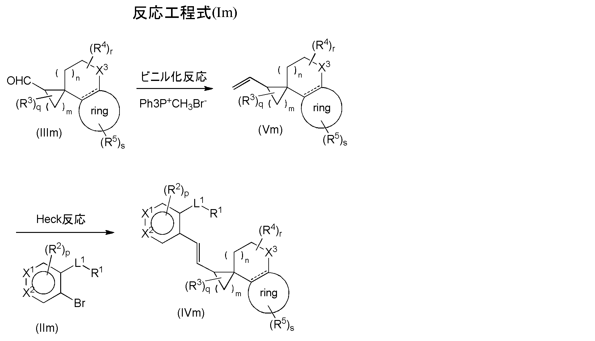 Figure JPOXMLDOC01-appb-C000042