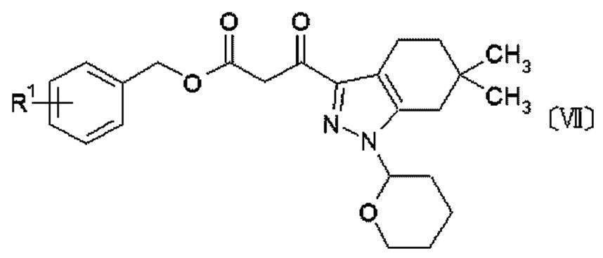 Figure JPOXMLDOC01-appb-C000013
